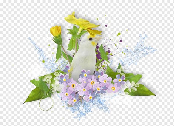 клипарт весна