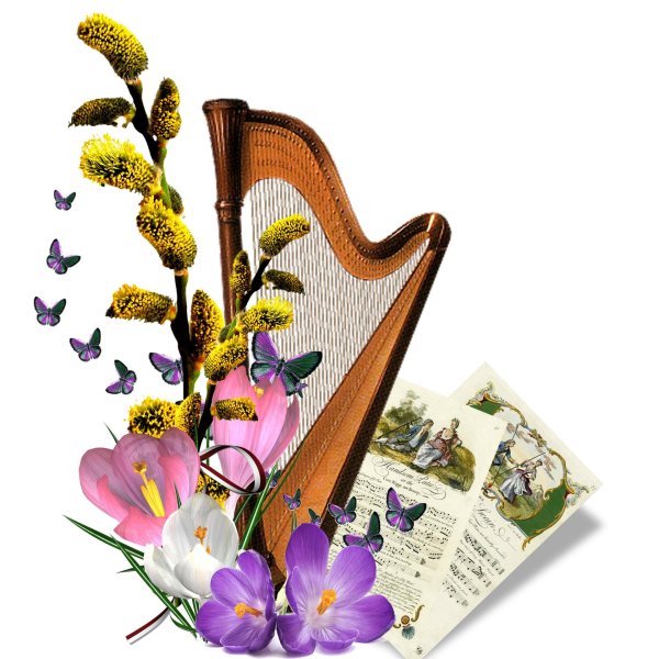 музыкальная инструмент