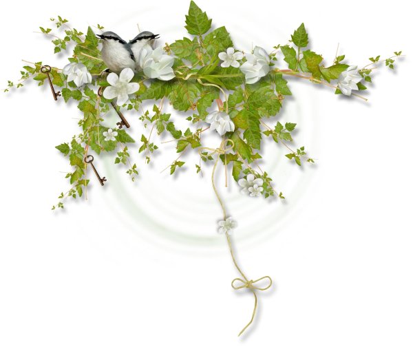 веточка на белом фоне