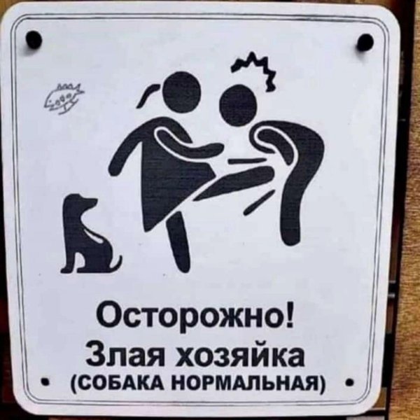 осторожно злая хозяйка