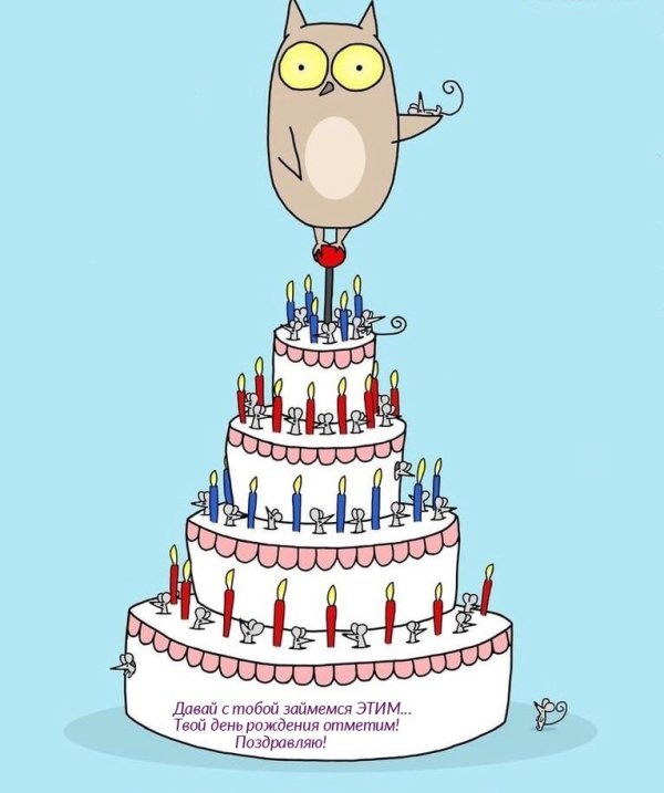 день рождения прикольные поздравления