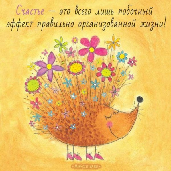 мир позитива