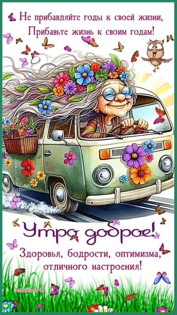 веселые высказывания