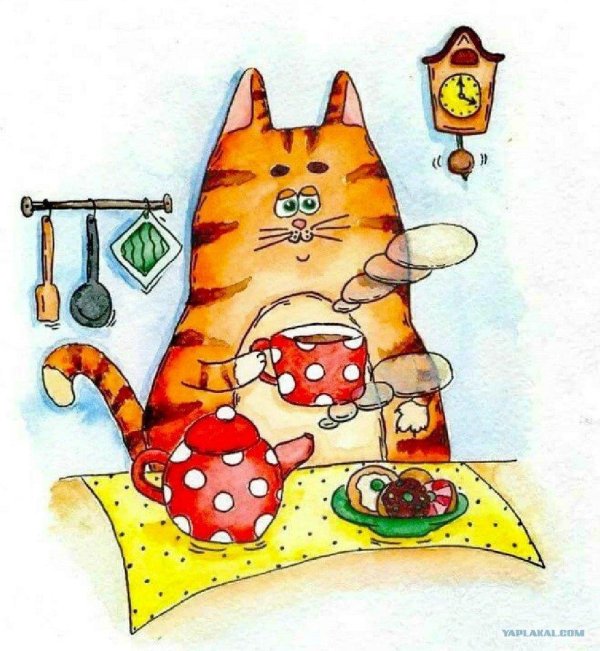 кот пьет чай