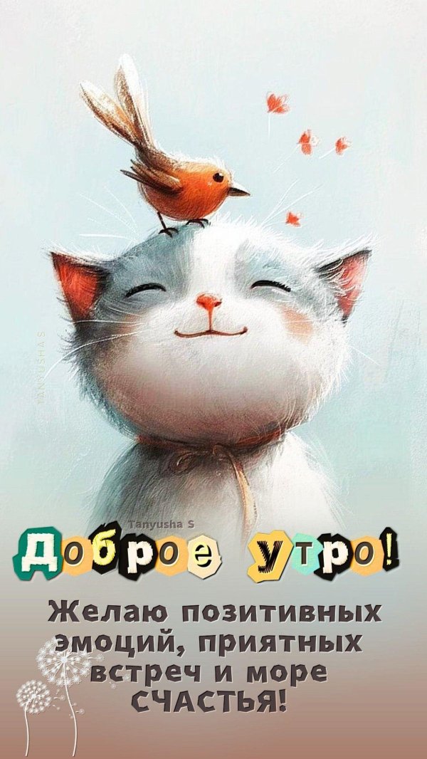 позитивные эмоции