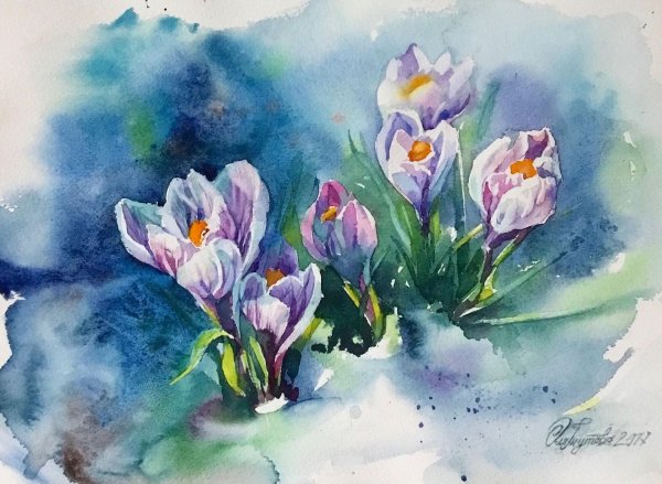 крокусы елена тенер