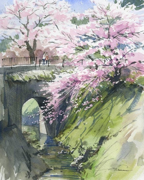 художник osamu shibata