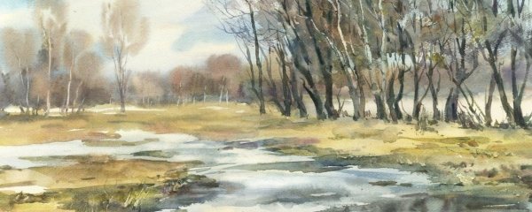 художник галина ставицкая акварели