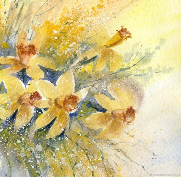 ева розенстанд нарциссы