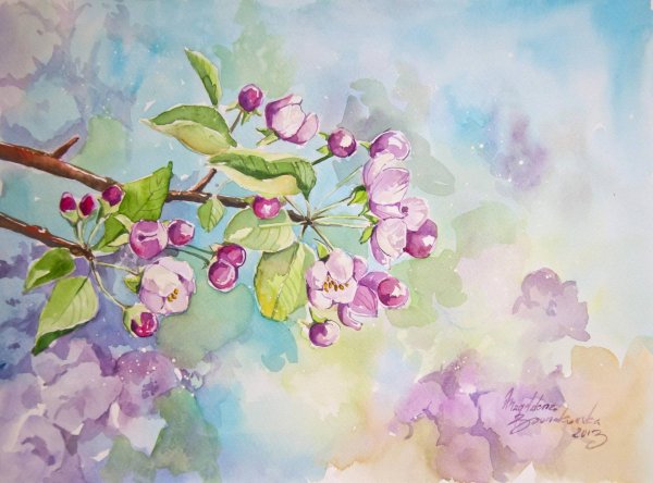цветущая яблоня акварель