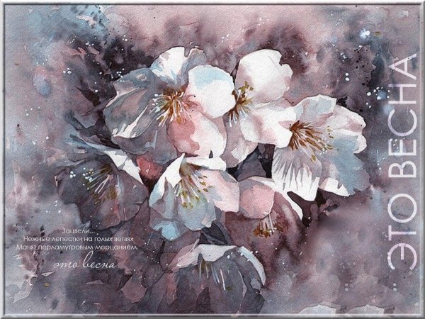 тайваньский художник lin ching che