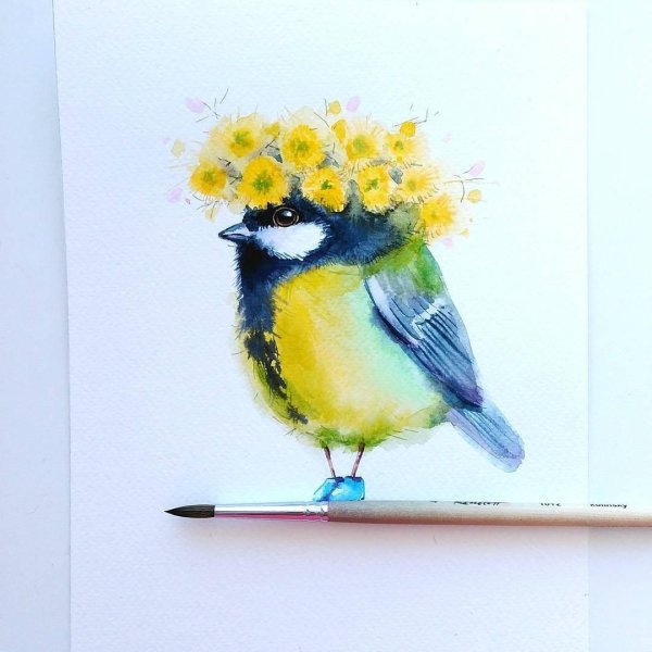 акварельные рисунки