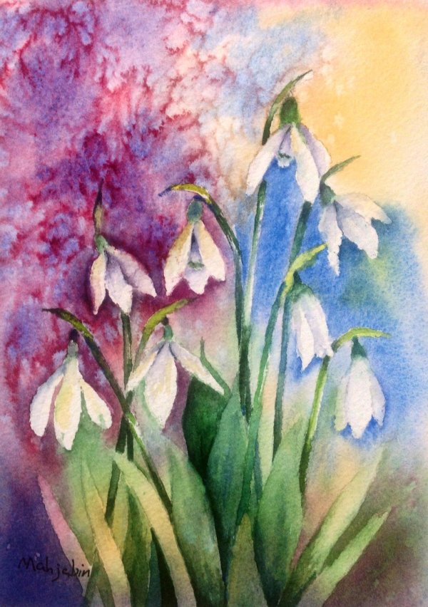 ботаническая живопись пролески акварелью