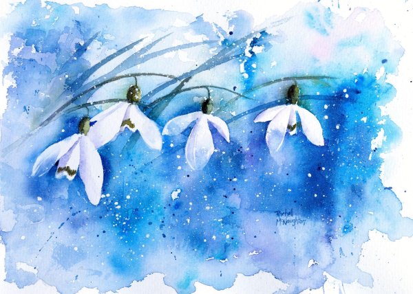 акварели рэйчел макнотон