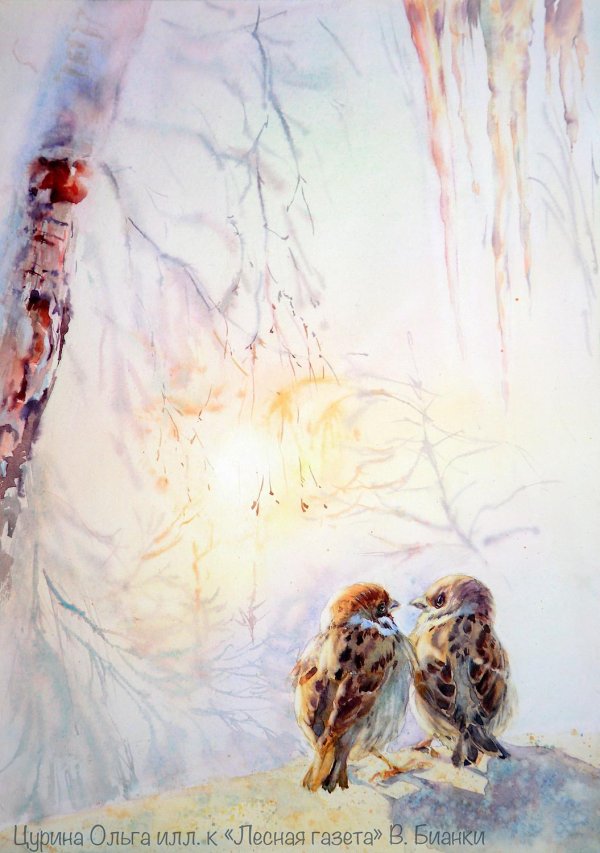 художник комаревцев воробей