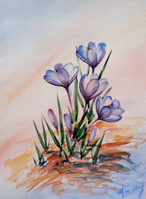 крокусы елена тенер