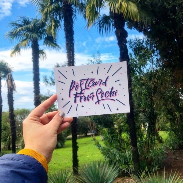 сочи пальмы адлер