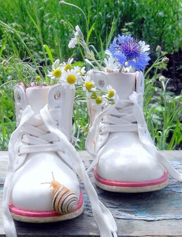 встречаем лето