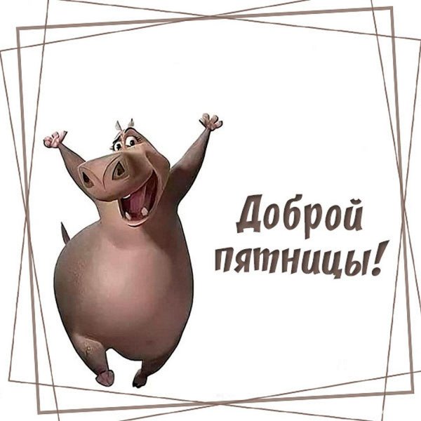 прикольный бегемотик