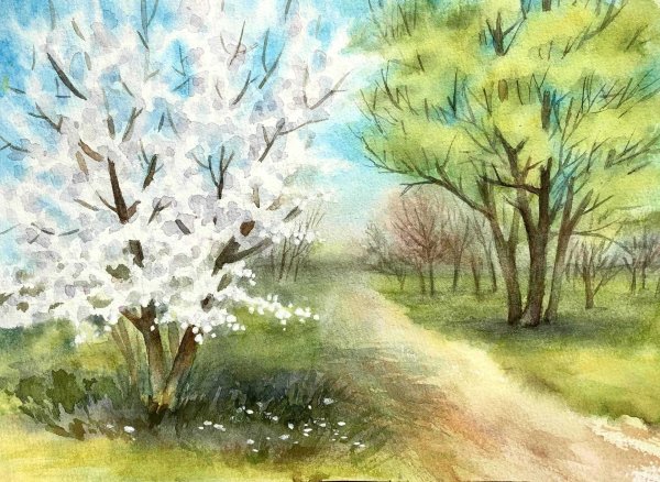 деревья акварелью пленэр