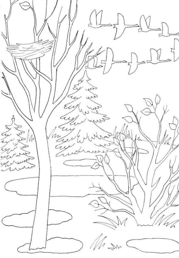 осенний пейзаж раскраска