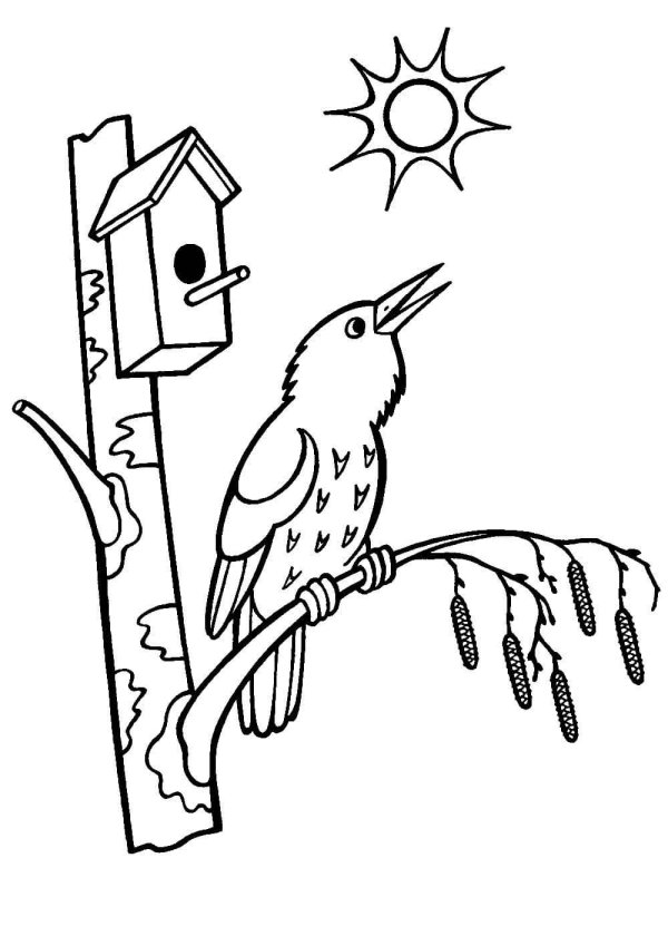 скворец скворушка скворечник