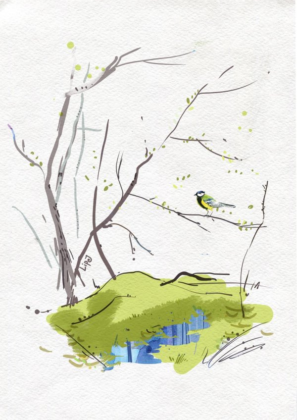 скребицкий синичка