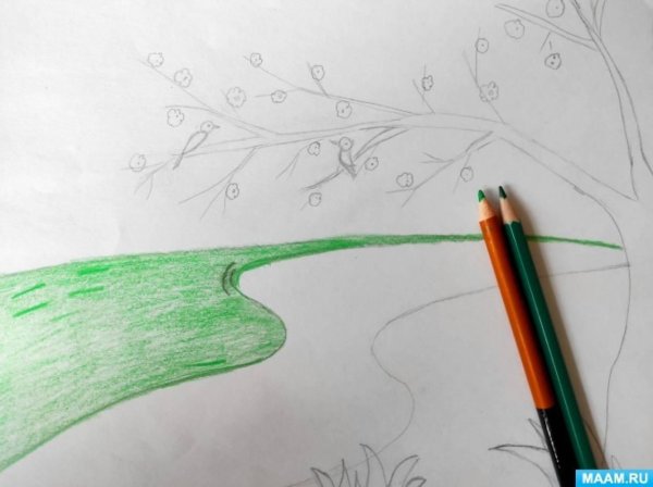 рисовать березу карандашом