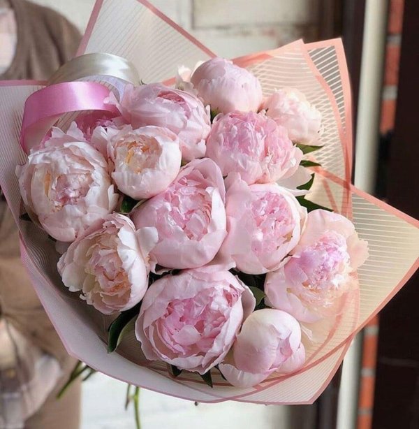 3 пиона букет