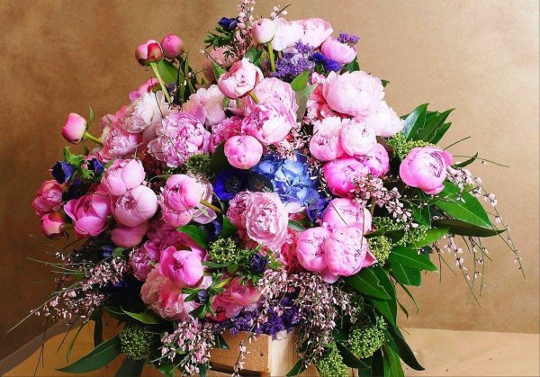 красивые букеты с пионами