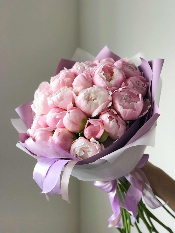 пион одилия