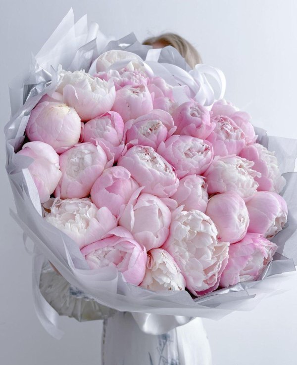 розовые пионы