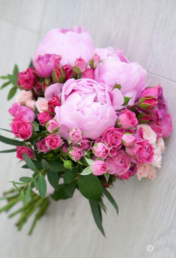 красивые букеты из пионов