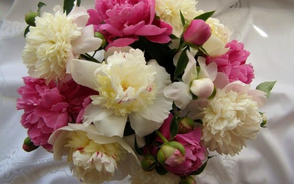 С цветами букеты пионы