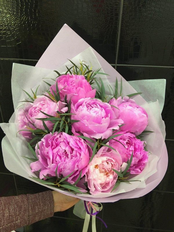 пион одилия