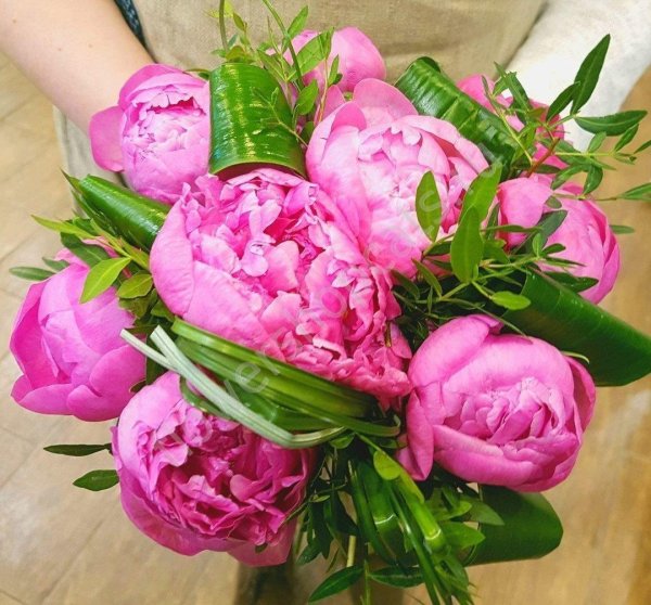 красивые букеты пионов