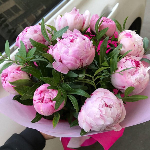 пионы букет москва