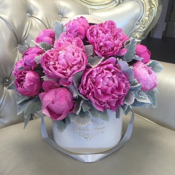 коробка с пионами