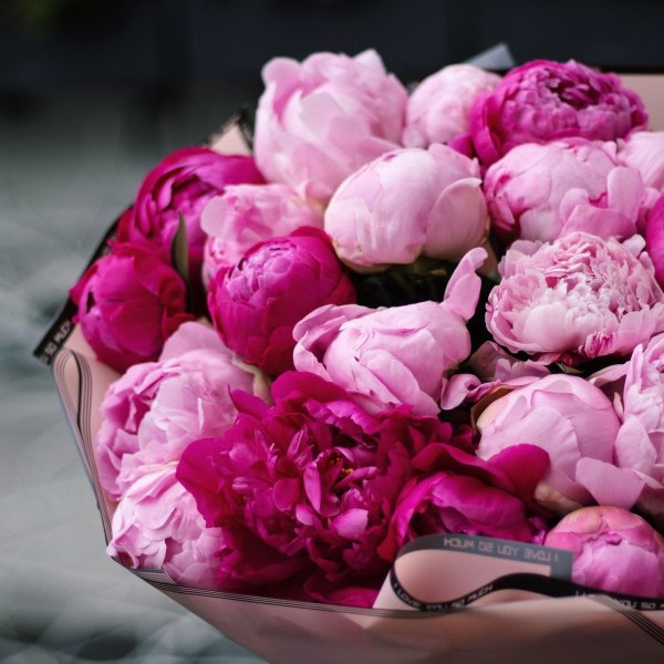 красивые букеты пионов