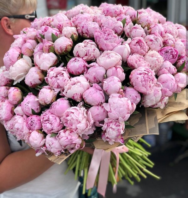 пионы сара бернар букет