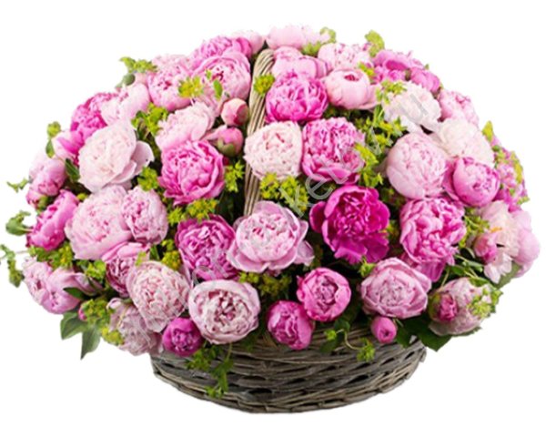 корзина с пионами