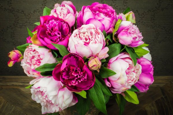 цветок пион