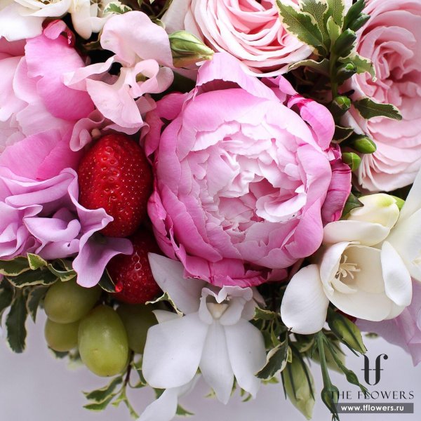 кэти випл пионы