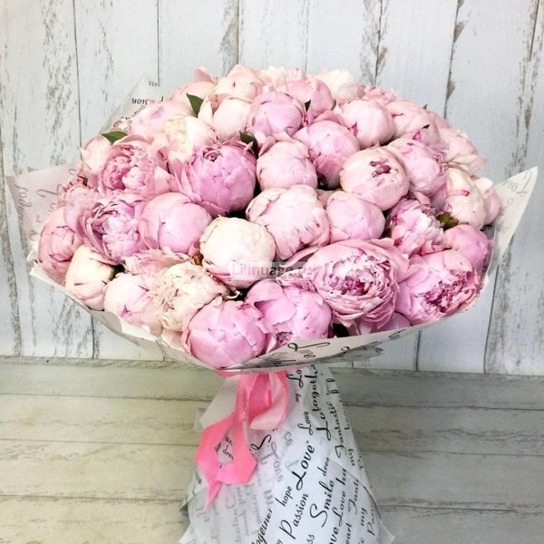 пион сара бернар