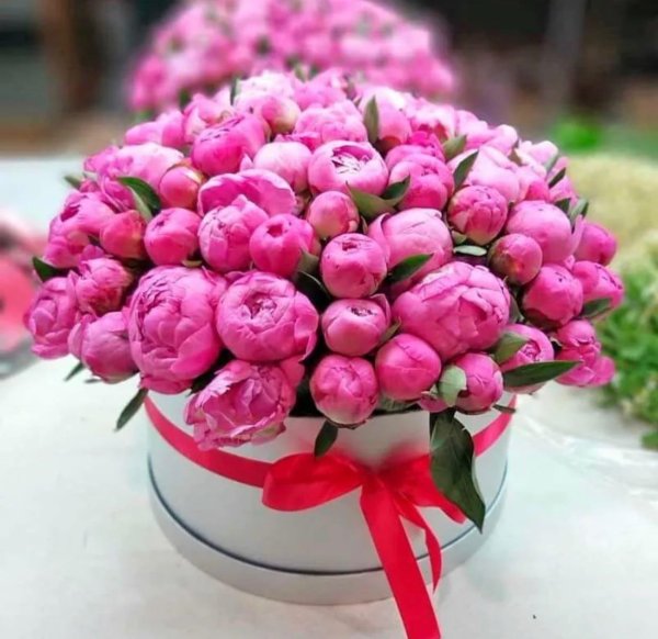 коробка с пионами