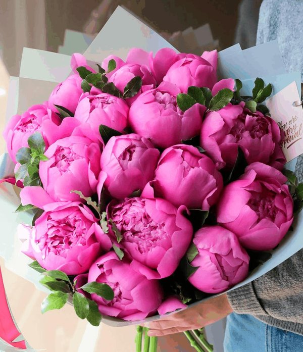 пионы 15 шт букет
