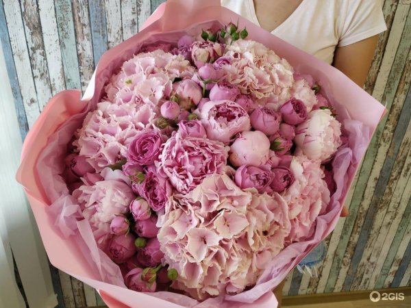 пион одилия