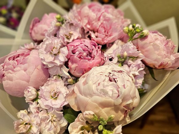 гипсофилы и пионы