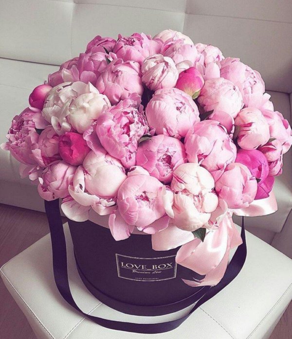 коробка с пионами