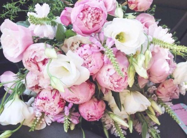 красивая открытка с пионами